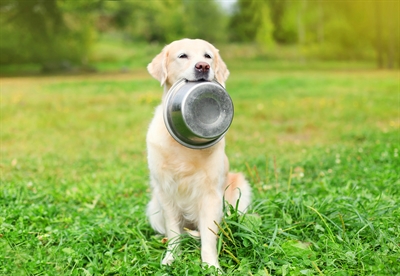 Happy Pet Voerbak RVS 11 cm