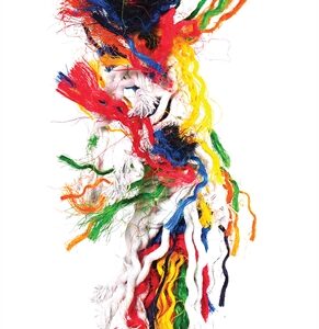 Happy Pet Speelgoed Papegaai Plucker Assorti 8x8x28 cm