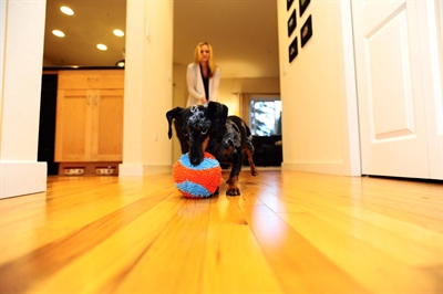 Chuckit Indoor Ball 11.5x11.5x11.5 cm