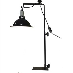 Komodo Licht Standaard 37-63 cm