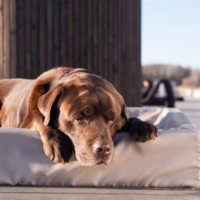 Bia Bed Hondenmand Outdoor Taupe Bia-4 85x70x15 cm