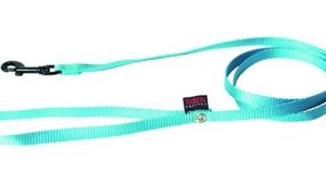 Martin Hondenriem Nylon Turquoise 120x1 cm