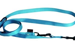 Martin Hondenriem Multipurpose Nylon Turquoise 200x2 cm