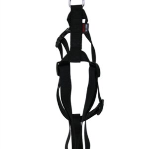 Martin Hondentuig Basic Nylon Zwart 25-35x1 cm