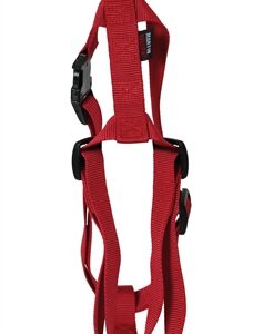 Martin Hondentuig Basic Nylon Rood 35-50x1.6 cm