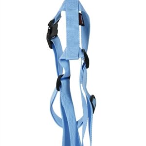 Martin Hondentuig Basic Nylon Blauw 35-50x1.6 cm