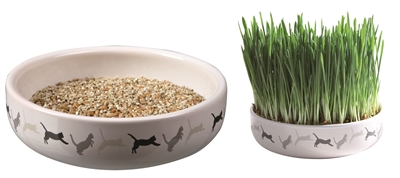 Trixie Kattengraszaad 50gr In Keramiek 15x15x4 cm