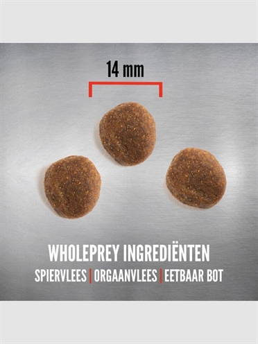 Orijen Whole Prey 6 Fish Dog 6 kg
