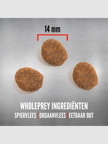 Orijen Whole Prey Regional Red Dog 6 kg