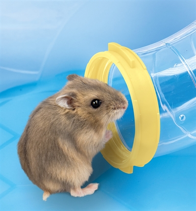Imac Hamsterkooi Fantasy 58x38x38.5 cm