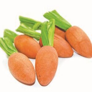 Happy Pet Carrot Nibblers Knaaghout 8x3x3 cm 6 st