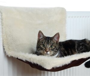 Trixie Radiatorhangmat Pluche / Velours Creme / Bruin 45x26x31 cm