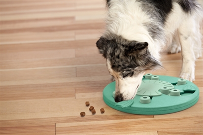 Nina Ottosson Dog Worker Composiet 34.5x34.5x5 cm