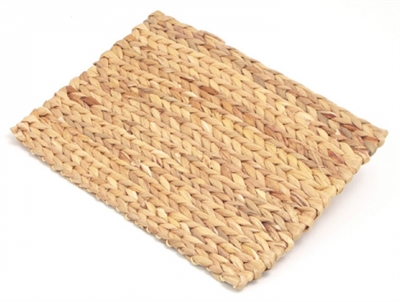 Rosewood Chill 'n' Chew Knaagmat 33x24 cm