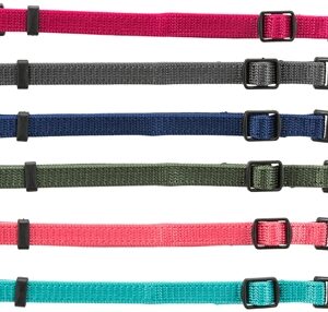 Trixie Puppy Halsbandset Fuchsia/Grafiet/Indigo/Groen/Koraal/Blauw 22-35 cm 6 st