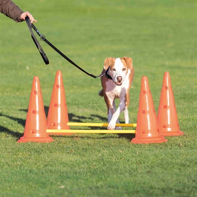 Trixie Dog Activity Hordenset 3 st