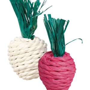 Trixie Radijs En Rettich Met Stro 8 cm 2 st