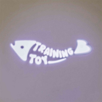 Trixie LED Pointer Laserspeelgoed Catch The Light 8 cm