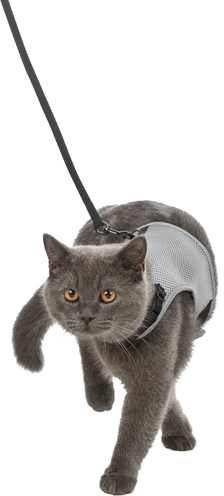 Trixie Kattentuig Soft Met Riem Assorti 24-42 Cmx1.2 Mtr