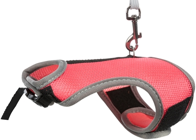 Trixie Tuig Voor Knaagdieren Assorti 25-32 Cmx1.2 Mtr
