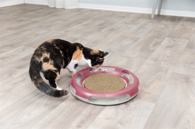 Trixie Race En Scratch Speelbaan Kunststof 37 cm