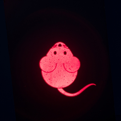 Trixie Laserspeelgoed Catch The Light Muis USB Oplaadbaar 8.5 cm 4 st