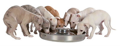 Trixie Junior Puppyvoerbak RVS 29 cm 1400 ml