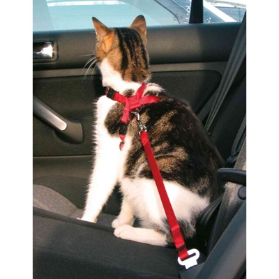 Trixie Kattentuig Voor In DE Auto Rood 20-50x1.5 cm
