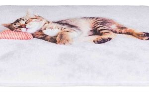Trixie Ligmat Kat Nani Grijs 40x30 cm