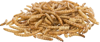 Trixie Meelwormen Gedroogd 200 gr 5 st