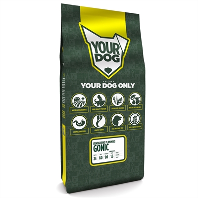 Yourdog Crnogorski Planinski Gonic Senior 12 kg
