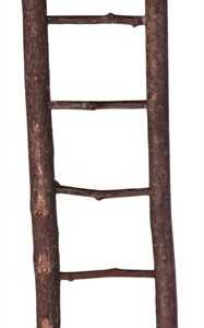 Trixie Ladder Schorshout 26cm 4st