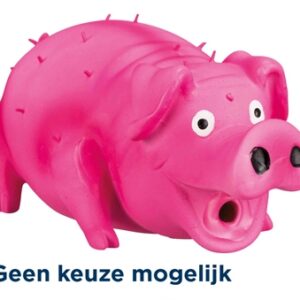 Trixie Stekelvarken Met Dierenstem Latex Assorti 21cm 3st