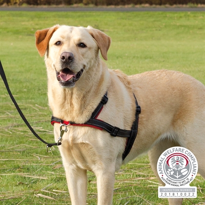 Trixie Hondentuig Trainingstuig Lead'n'walk Soft Zwart 45-70x2.5 cm