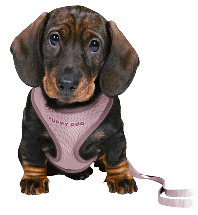 Trixie Junior Puppytuig Soft Met Riem Lila 26-34x1 cm / 2 Mtr