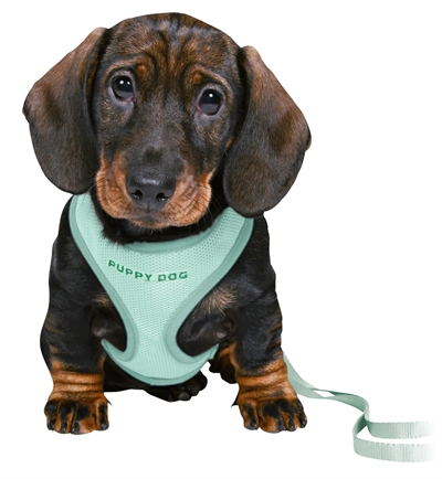 Trixie Junior Puppytuig Soft Met Riem Mintgroen 26-34x1 cm / 2 Mtr