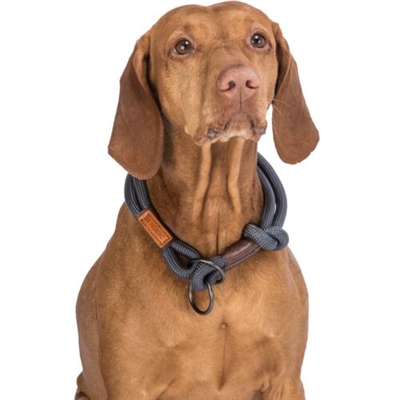 Trixie Halsband Hond BE Nordic Halfslip Donkergrijs / Bruin 30x0.6 cm