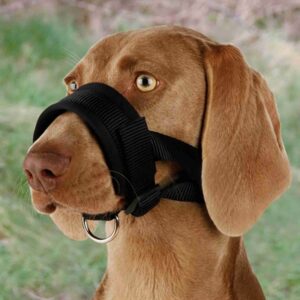 Trixie Snuitje Nylon Zwart 16-28 cm 2 st
