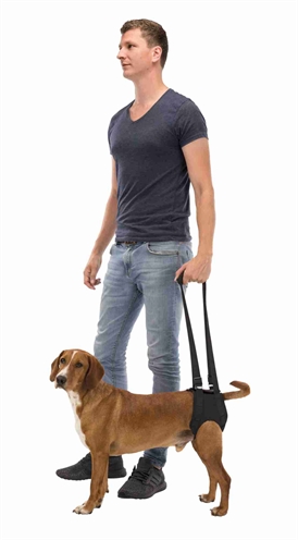 Trixie Loophulp Zwart 55-65 cm