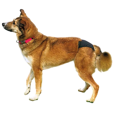 Trixie Loopsheidbroekje Zwart XS 20-25 cm