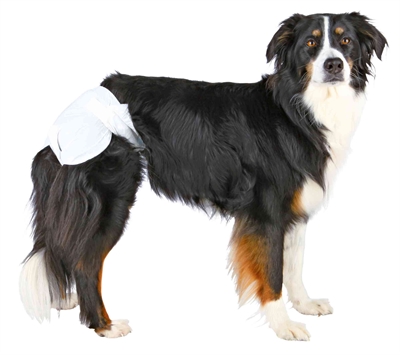 Trixie Luiers Voor Teven XS-S 20-28 cm 2x12 st