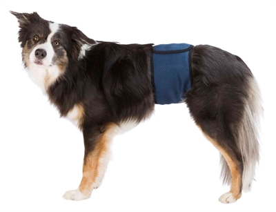 Trixie Plasband Voor Reuen Mesh Donkerblauw S 29-37 cm 2 st