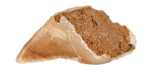 Trixie Kauwhoef Met Vulling 115 g 25x115 gr