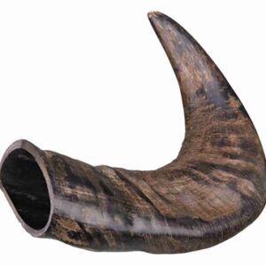 Trixie Natuur-Kauwhoorn Van DE Buffel Middel M 6 st