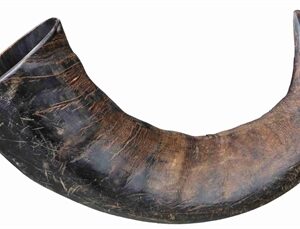 Trixie Natuur-Kauwhoorn Van DE Buffel Groot L 6 st