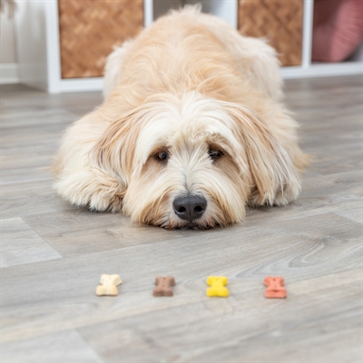 Trixie Cookie Snack Mini Bones 2x1.3 kg