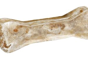 Trixie Kauwbot Lamvulling 10 cm 2 × 40 g / St. 10 cm 10x2x40 gr
