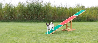 Trixie Agility Wip 300x34x54 cm