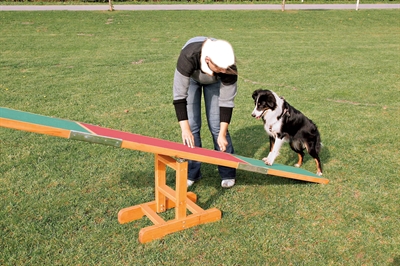 Trixie Agility Wip 300x34x54 cm