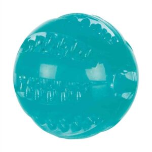 Trixie Denta Fun TPR Bal Met Muntsmaak 6x6x6 cm 3 st